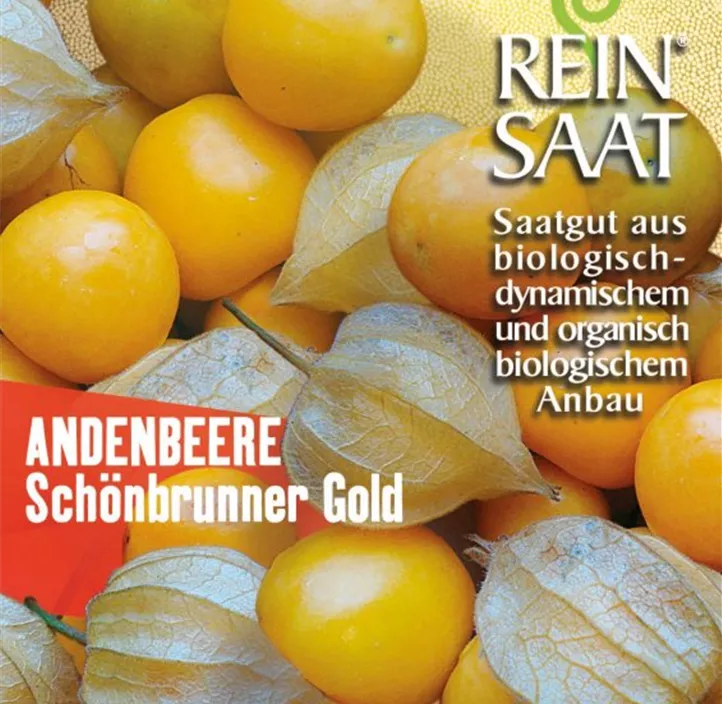 Andenbeere 'Schönbrunner Gold'