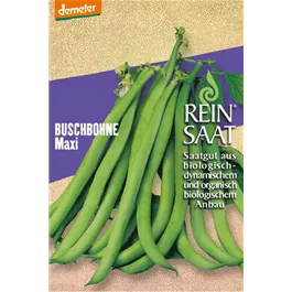 Buschbohne Maxi