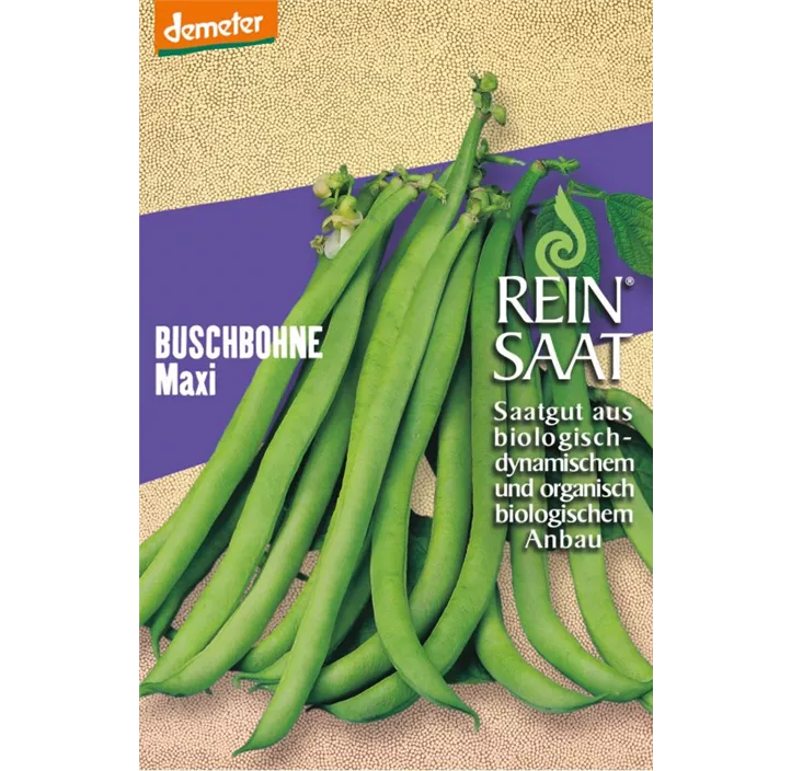 Buschbohne Maxi