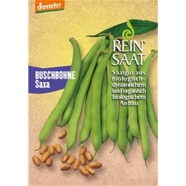 Buschbohne Saxa