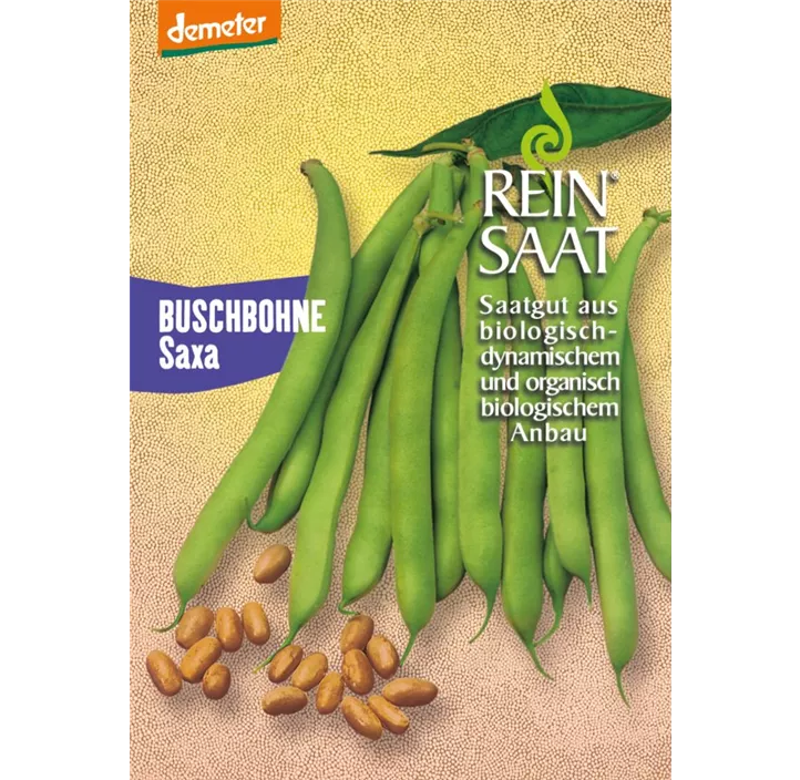 Buschbohne Saxa
