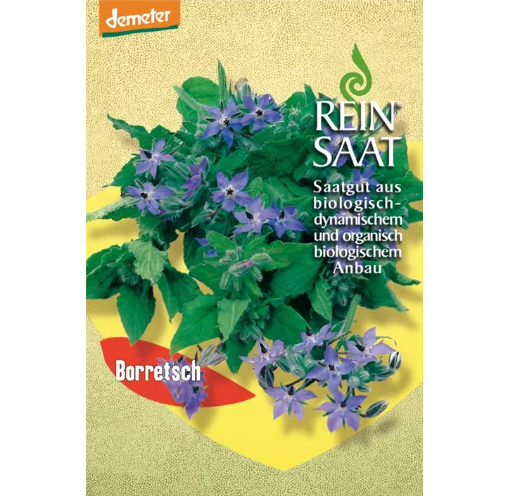 Borretsch