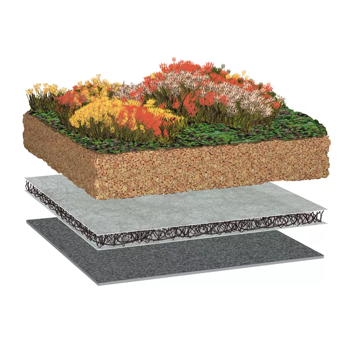 Dachbegrünung Standard