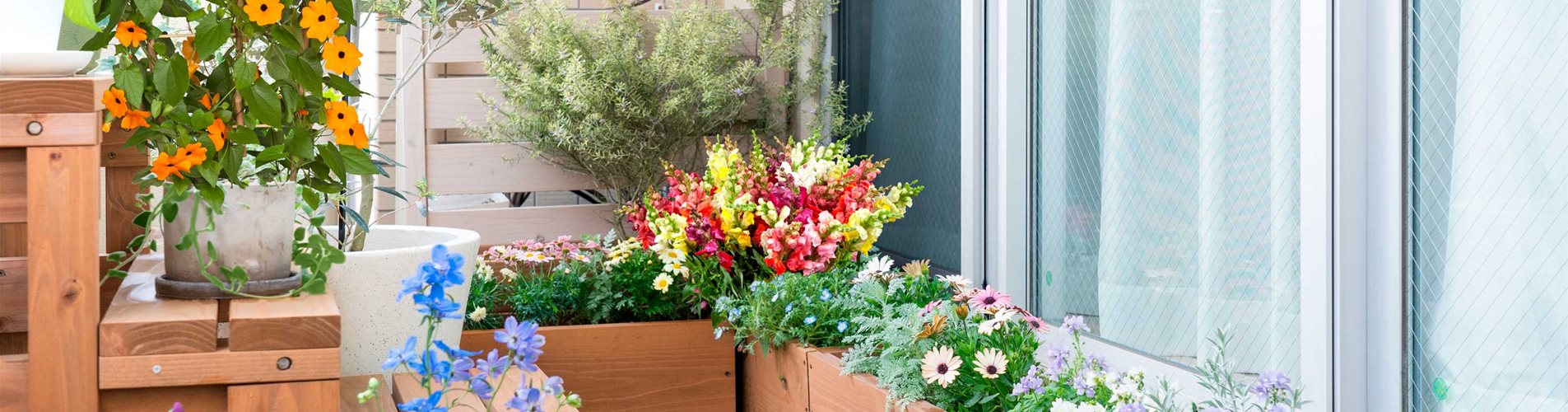 balkonwelt_insektenfreundlich_test_kleiner balkonwelt_insektenfreundlich_test_kleiner