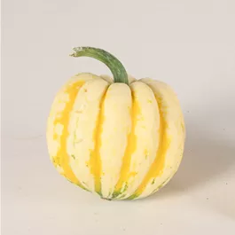 Speisekürbis Karneval