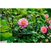 bellaflora Gartencenter GmbH