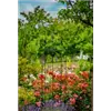 bellaflora Gartencenter GmbH