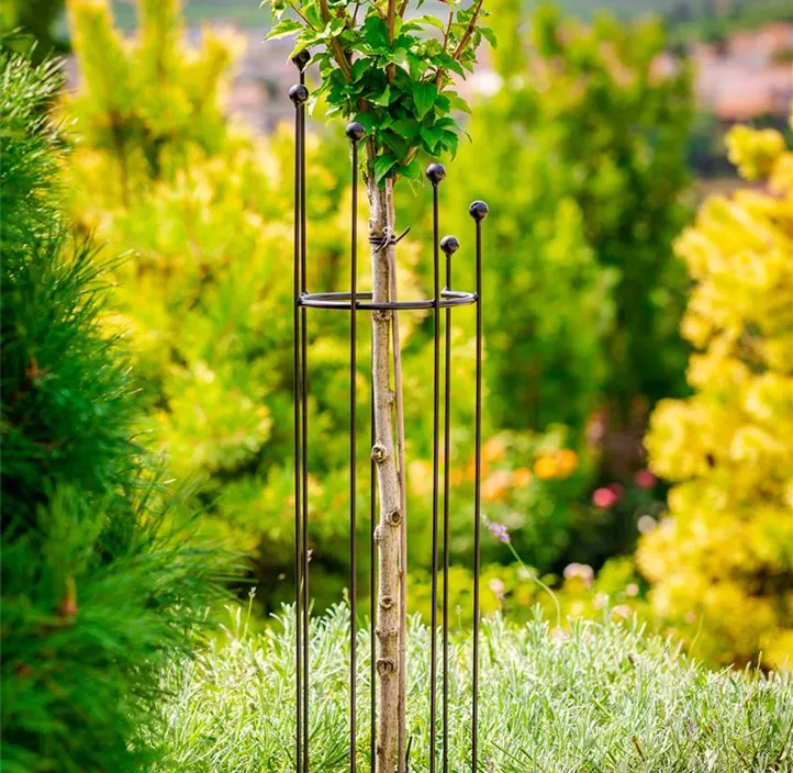 Obelisk Veleka offen