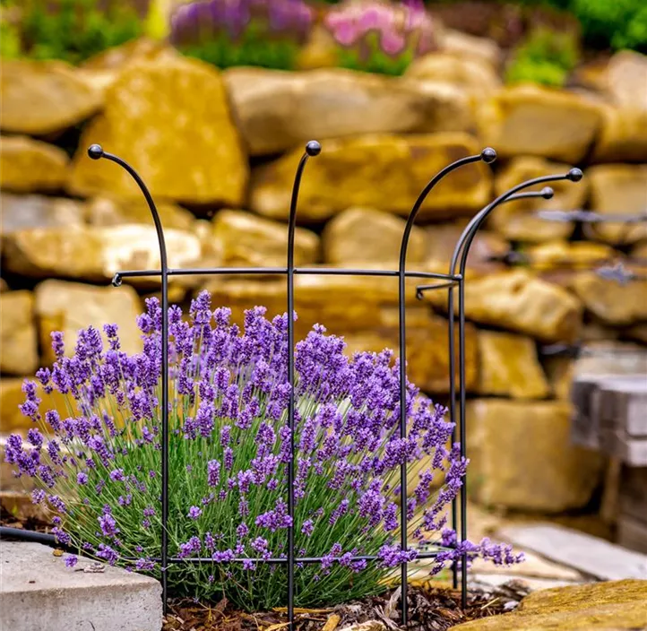 Staudenstütze Kaltis, ⌀ 55 cm