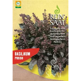 Basilikum rosso