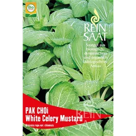 Asiasalat Pak Choi
