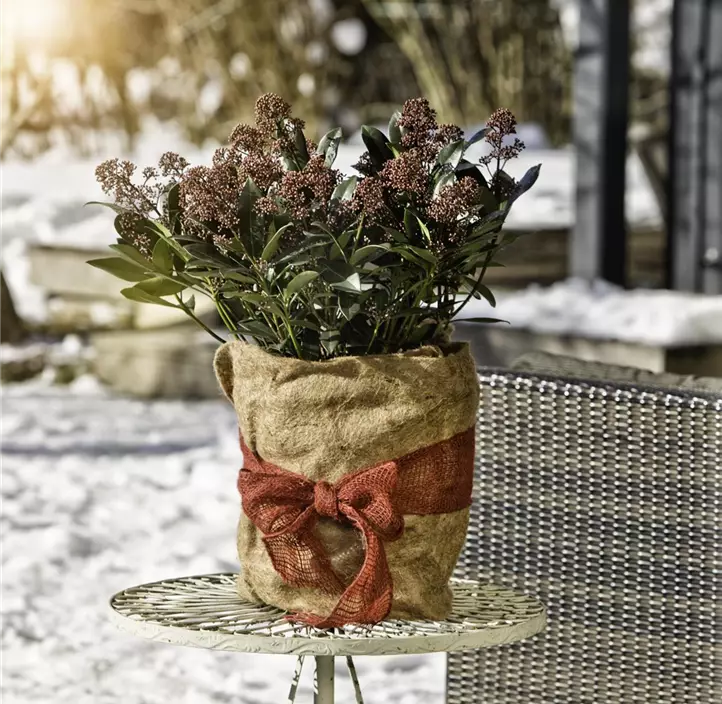 Winterschutz Vliesmatte