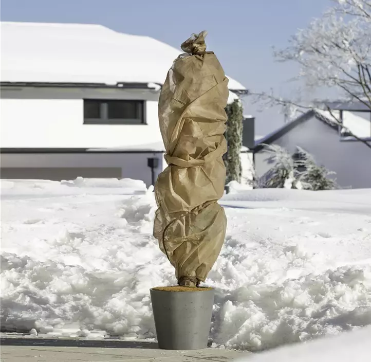 Wintervlies 