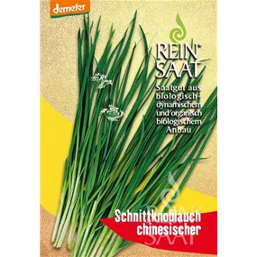 Chinesischer Schnittknoblauch