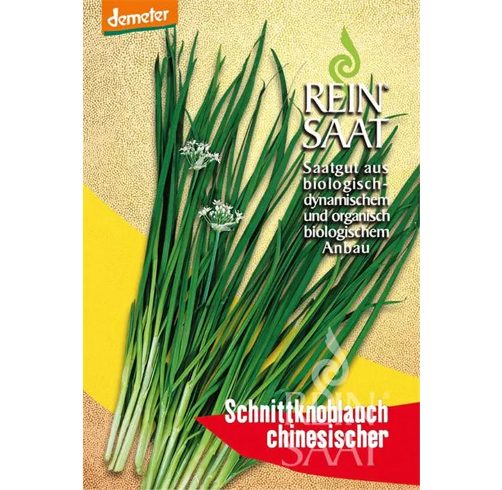Chinesischer Schnittknoblauch