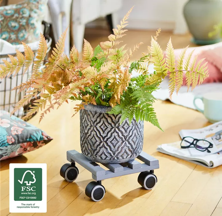 Multi Roller Creo quadratisch