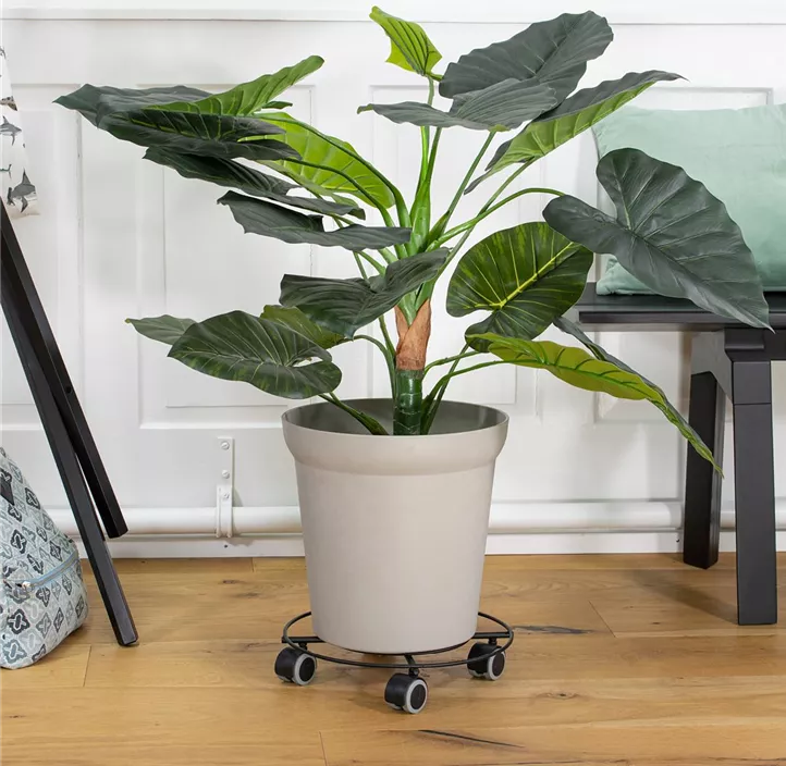 Multi Roller Stahldraht rund für harte/sensible Böden