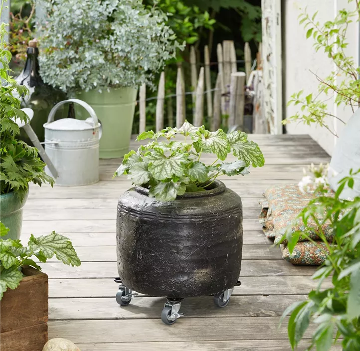 Multi Roller Stahldrat