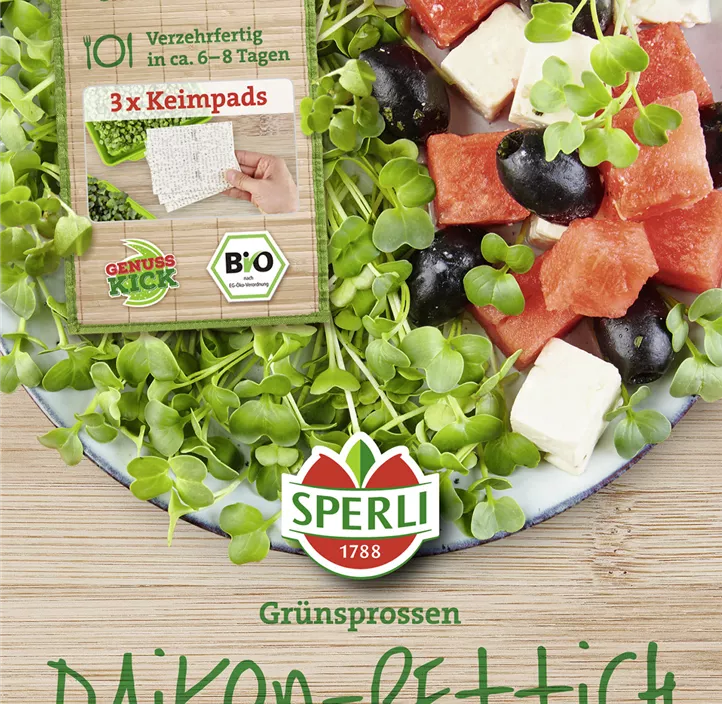 BIO Keimsprossen-Saat Daikon-Rettich