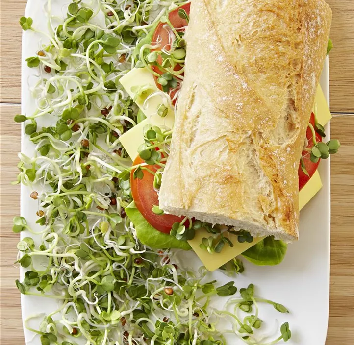 BIO Keimsprossen-Saat Daikon-Rettich