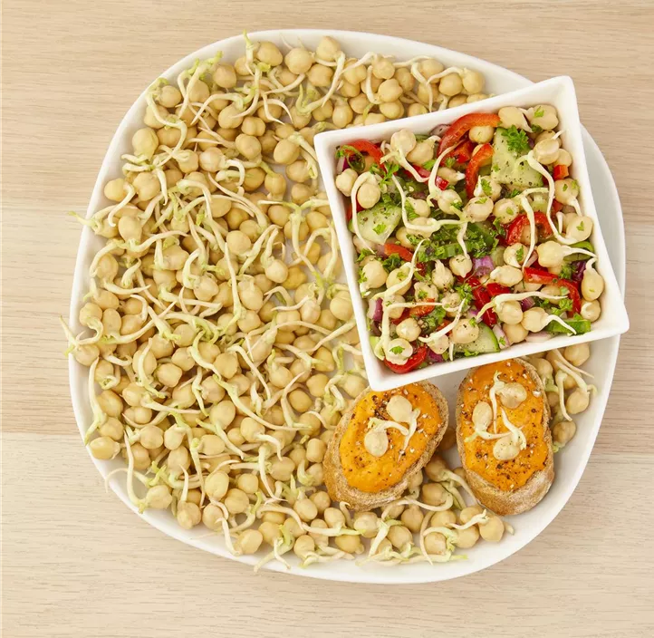 BIO Keimsprossen-Saat Kichererbse