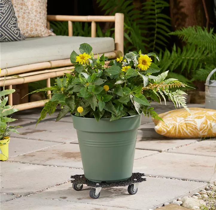 Multi Roller Blume mit gestanzten Punkten