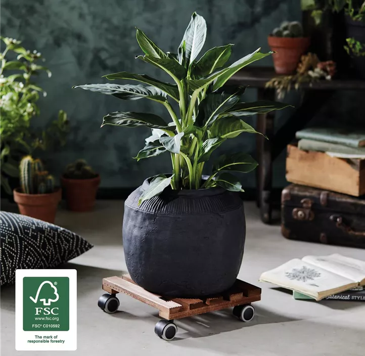 Multi Roller Country, palisander eckig