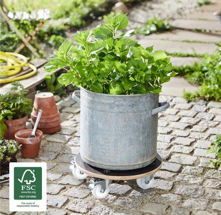 Multi Roller MaxiGrip