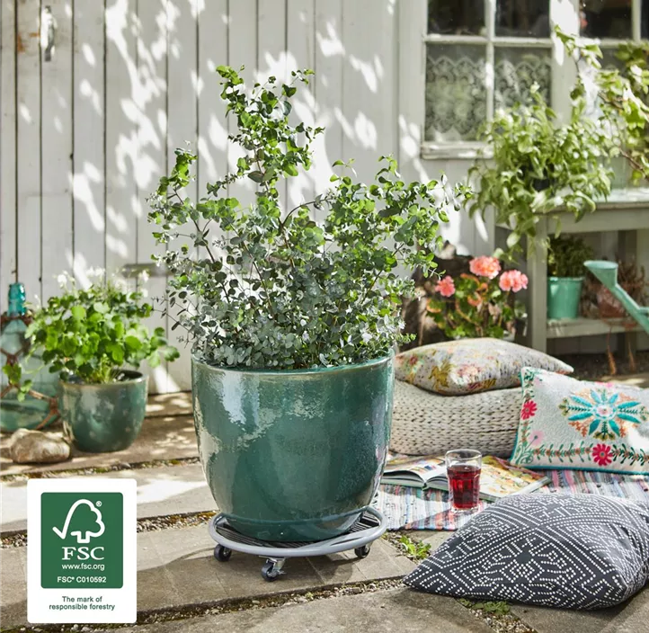 Multi Roller WPC mit Griff