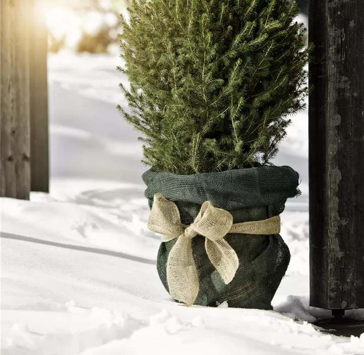 Jute Wickelstreifen, beige