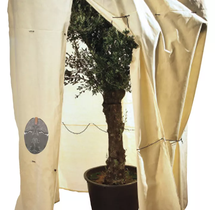 Pflanzensack mit Fenster Mammut