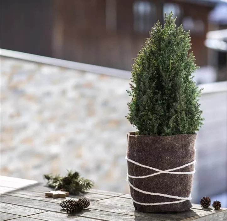 Schafwoll-Filzmatte Medium, 30 x 120 cm