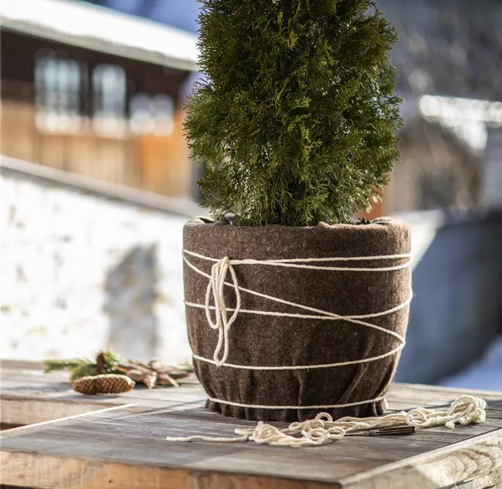 Schafwoll-Filzmatte Medium, 60 x 120 cm