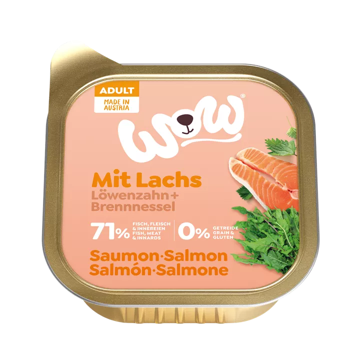 Dose Adult Lachs