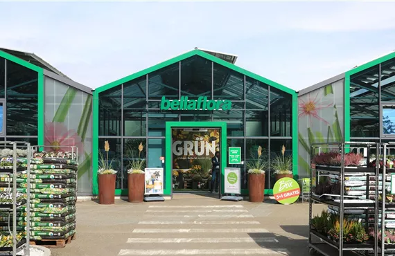 Fohnsdorf Filiale-0-0-2302-1294.jpg