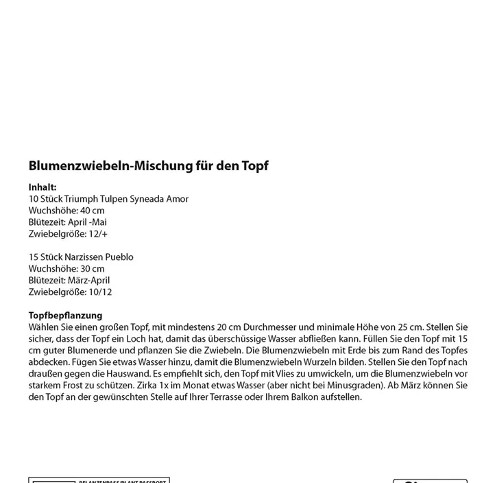 Blumenzwiebel Mischung Patio