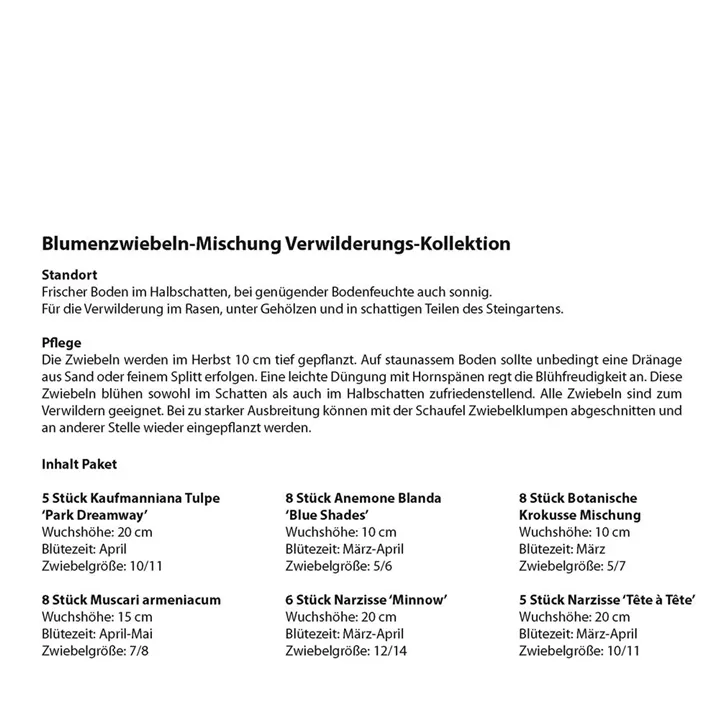 Blumenzwiebel Wildblumen-Kollektion