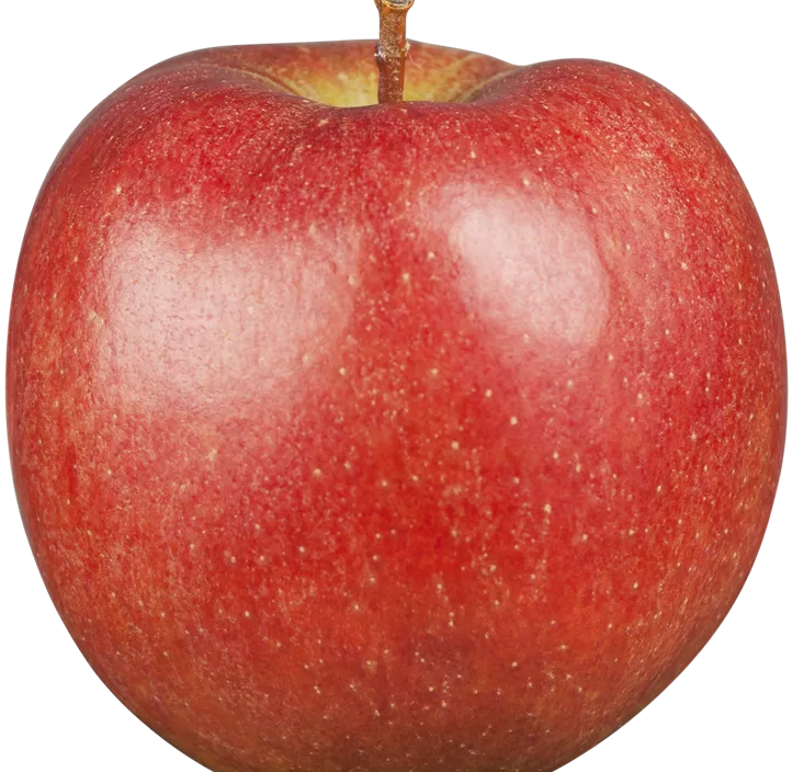 Apfel 'Braeburn'