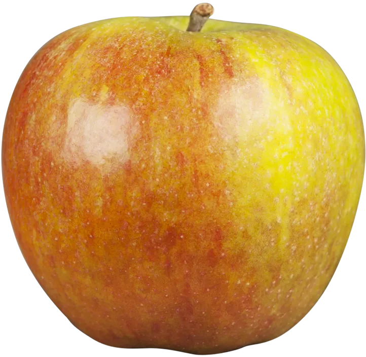 Apfel 'Cox Orange'