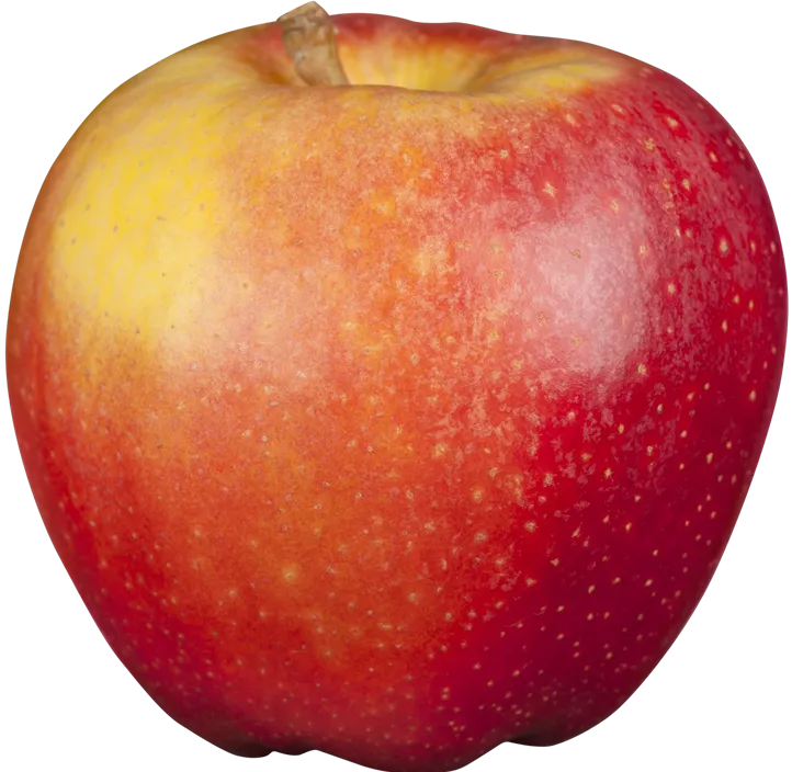 Apfel 'Gala'