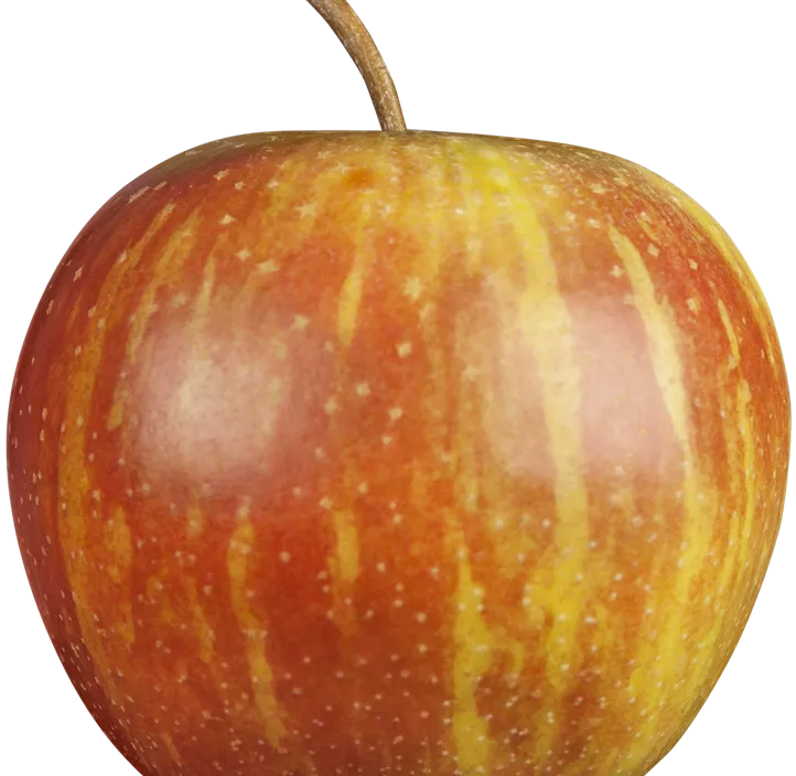 Herbstapfel 'Rubinette'®
