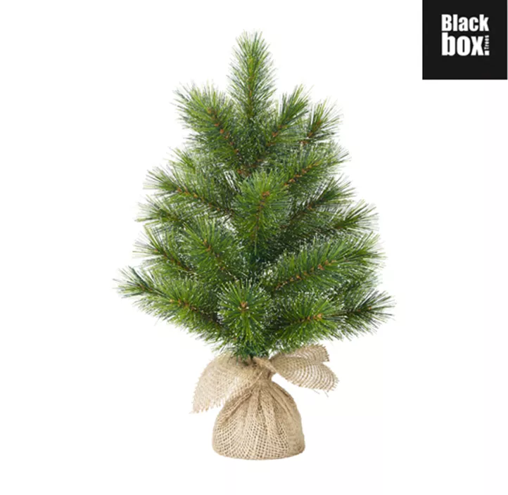 Weihnachtsbaum Glendon