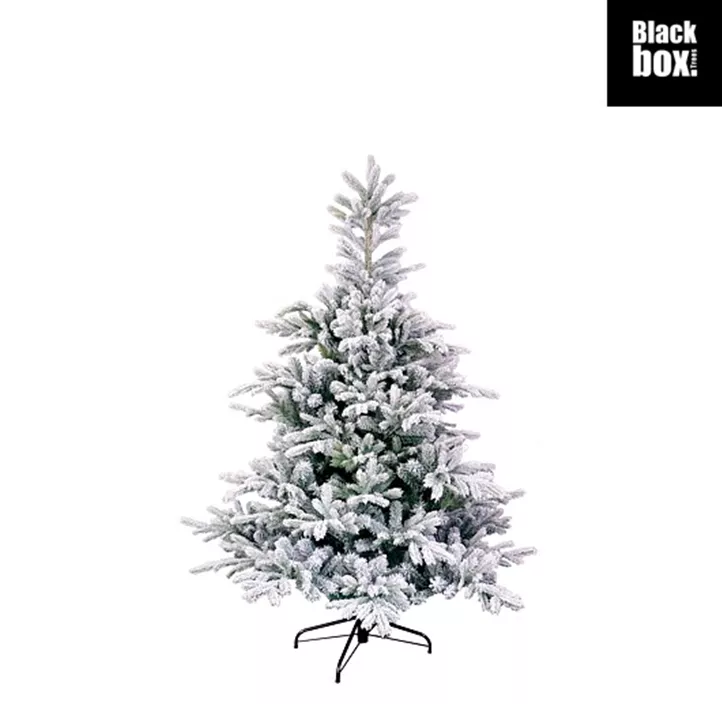 Weihnachtsbaum Grimshaw