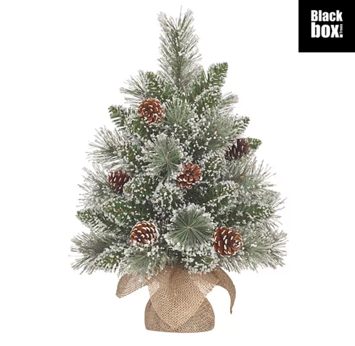 Weihnachtsbaum Vandans