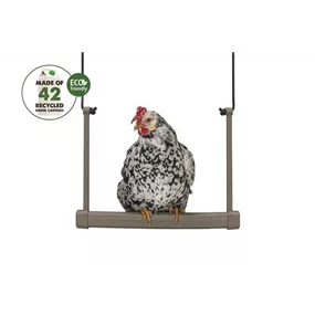 Hühnerschaukel, graun