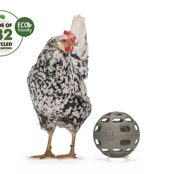 Hühner-Snackball