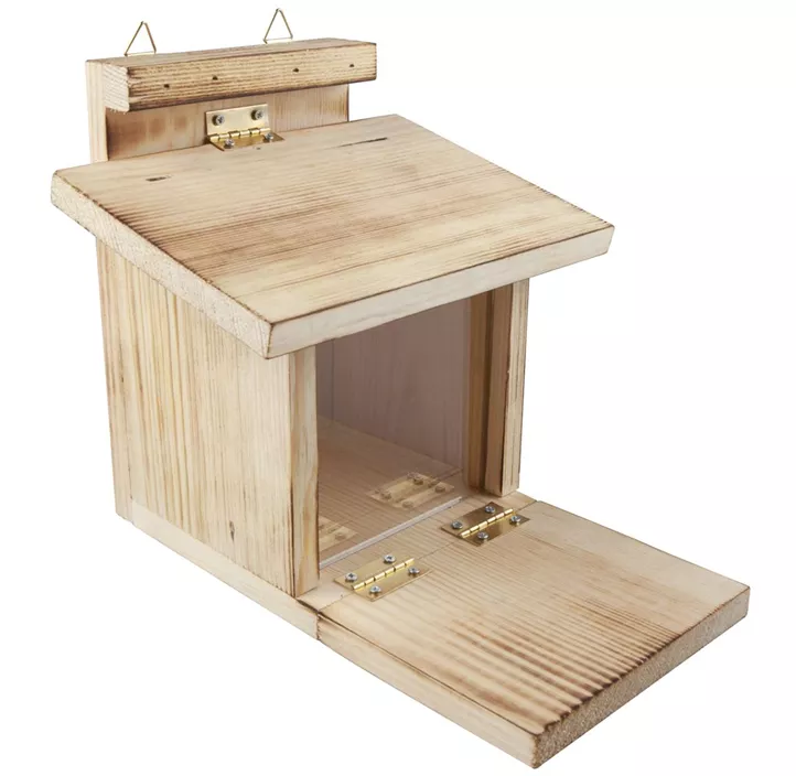 Eichhörnchen Futterstelle mit Klappboden