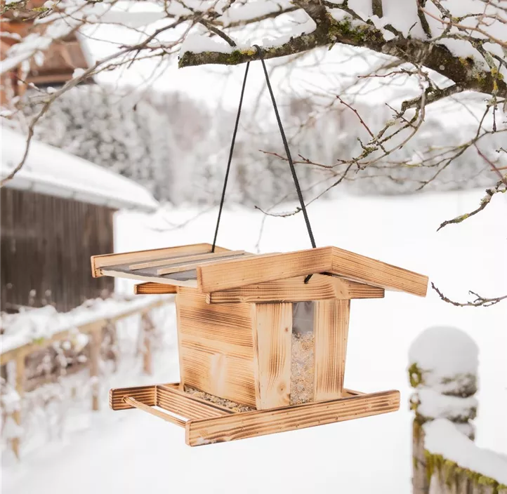 Vogelfuttersilo Canteen XXL