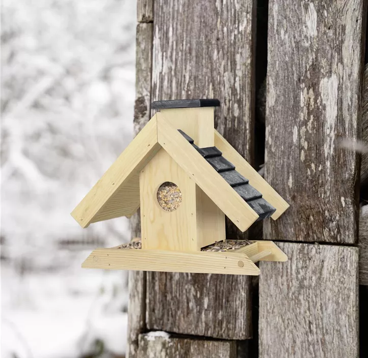 Vogelfuttersilo Finca