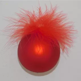 Glaskugel rote Feder